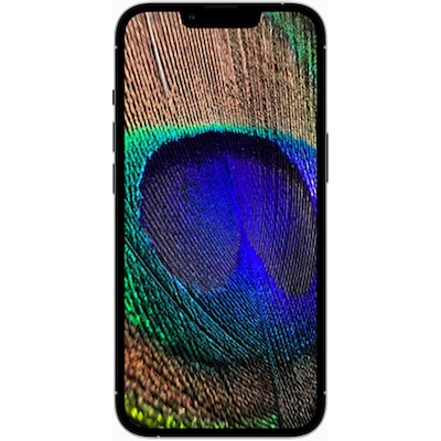 گوشی موبایل اپل مدل iPhone 13 Pro Max ja  ظرفیت 128 گیگابایت
